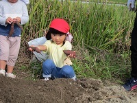 芋掘り1 (1)
