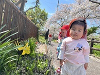 お花見散歩3 (1)