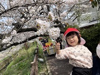 お花見散歩2 (2)