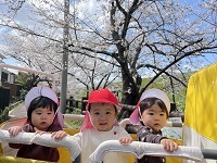 お花見散歩1 (2)