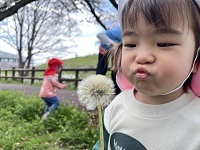 お花見散歩4 (1)