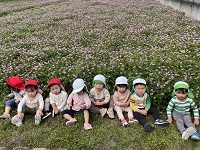れんげ畑1 (4)