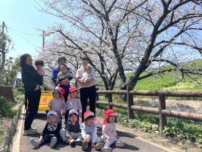 お花見散歩1 