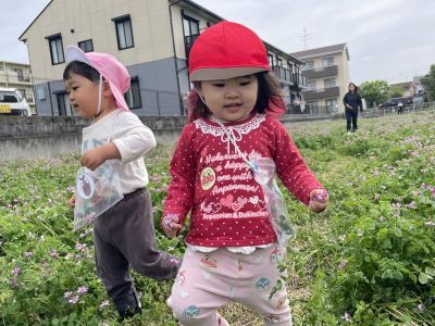 れんげ畑5